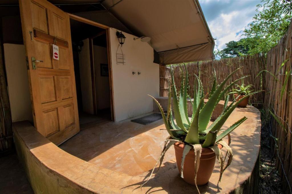 Tembe Elephant Park Lodge Sihangwane Εξωτερικό φωτογραφία