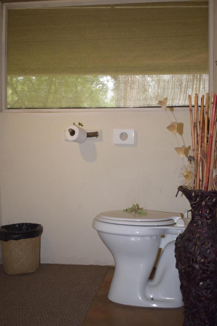 Tembe Elephant Park Lodge Sihangwane Εξωτερικό φωτογραφία