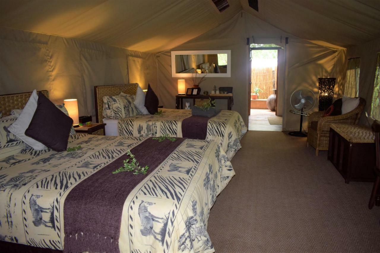 Tembe Elephant Park Lodge Sihangwane Εξωτερικό φωτογραφία