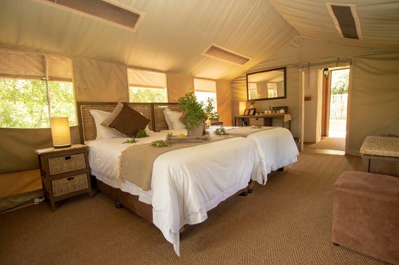 Tembe Elephant Park Lodge Sihangwane Εξωτερικό φωτογραφία