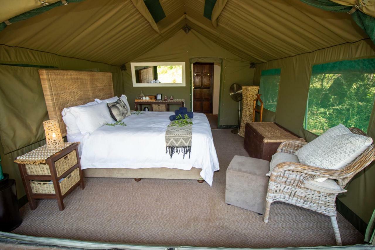 Tembe Elephant Park Lodge Sihangwane Εξωτερικό φωτογραφία