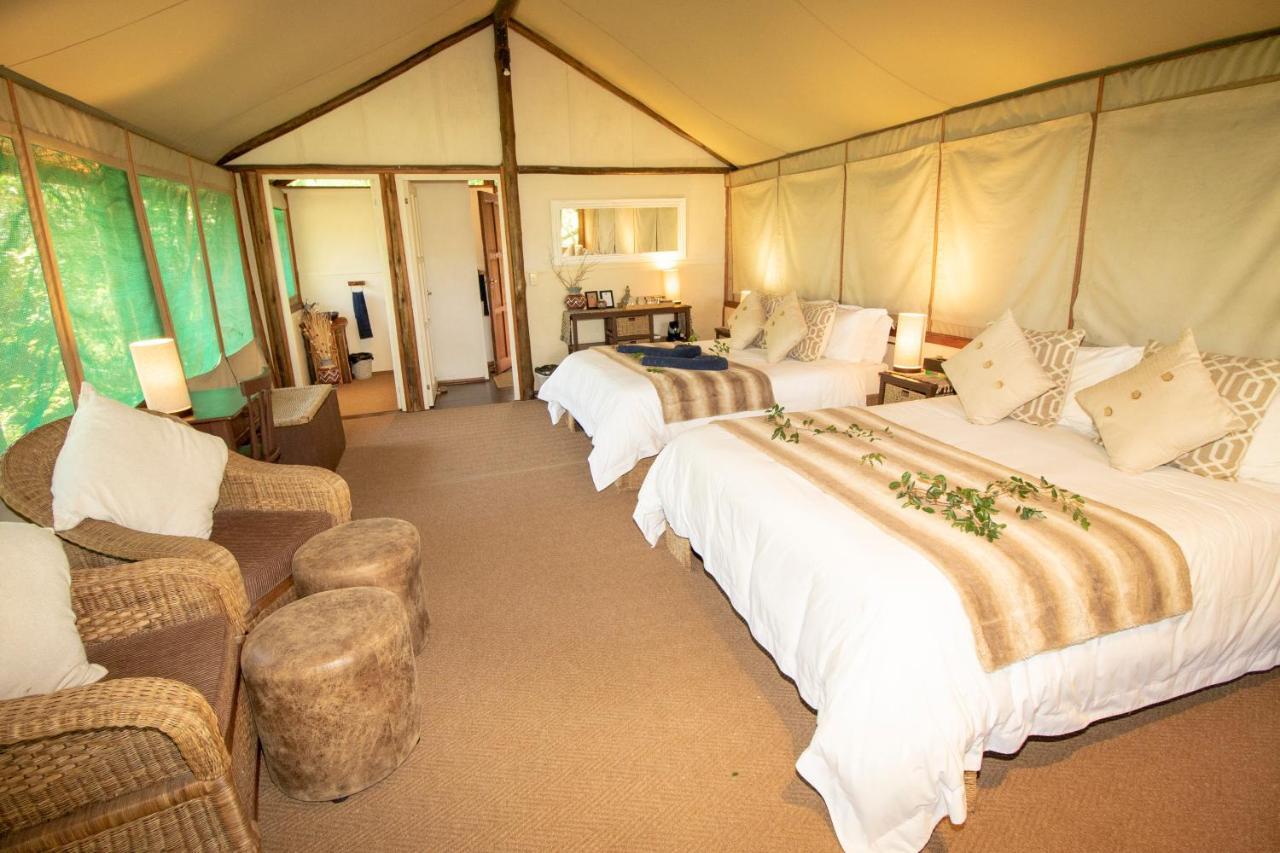Tembe Elephant Park Lodge Sihangwane Εξωτερικό φωτογραφία