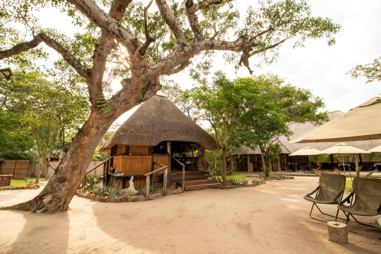 Tembe Elephant Park Lodge Sihangwane Εξωτερικό φωτογραφία