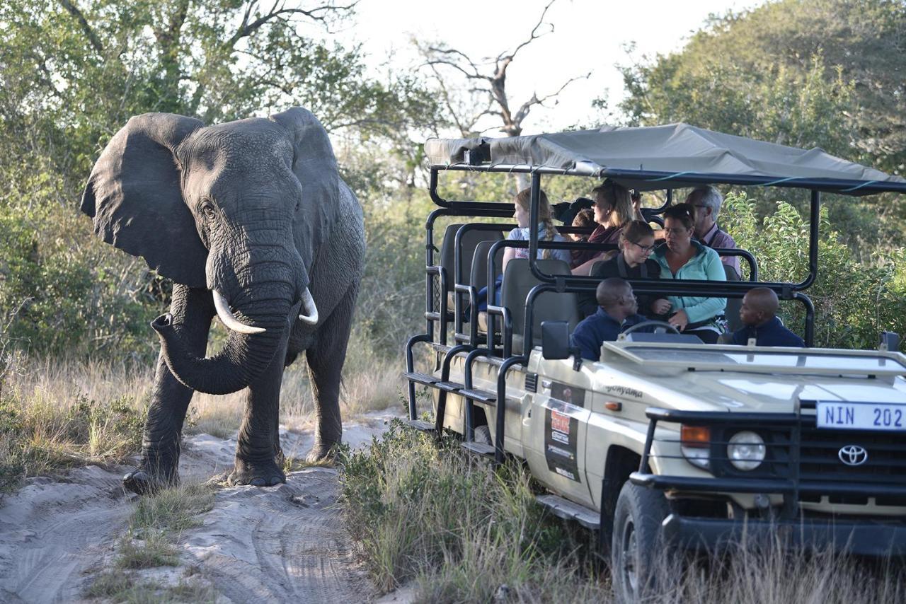 Tembe Elephant Park Lodge Sihangwane Εξωτερικό φωτογραφία